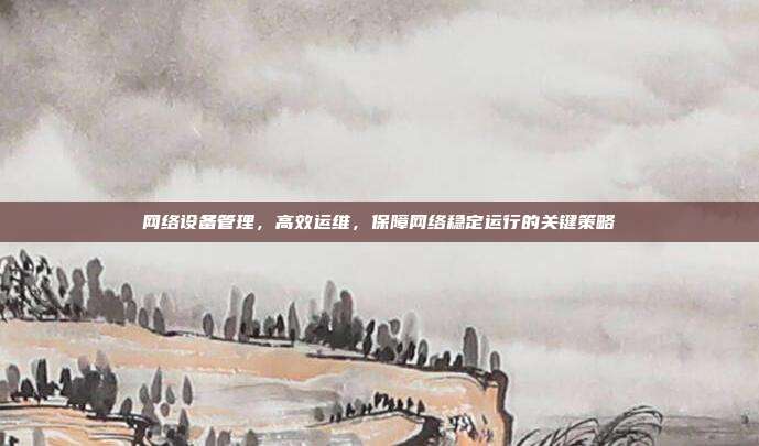 网络设备管理，高效运维，保障网络稳定运行的关键策略