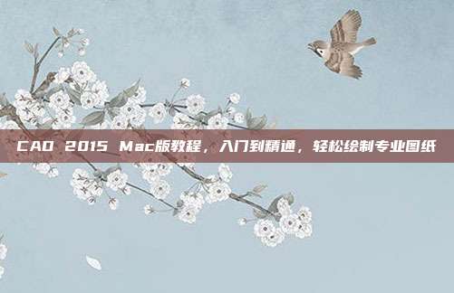 CAD 2015 Mac版教程，入门到精通，轻松绘制专业图纸