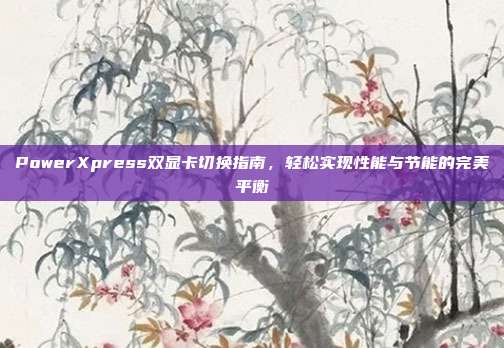 PowerXpress双显卡切换指南，轻松实现性能与节能的完美平衡