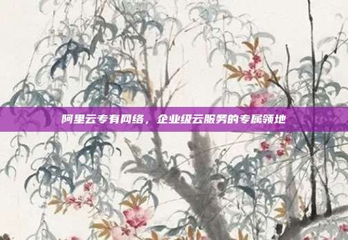 阿里云专有网络，企业级云服务的专属领地