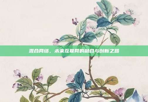 混合网络，未来互联网的融合与创新之路