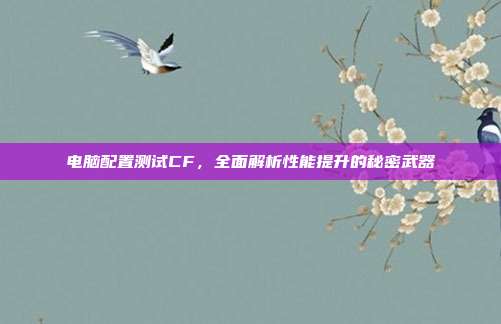 电脑配置测试CF，全面解析性能提升的秘密武器