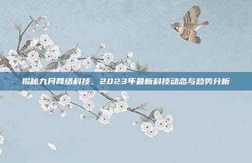 揭秘九月网络科技，2023年最新科技动态与趋势分析