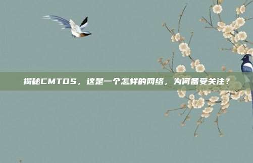 揭秘CMTDS，这是一个怎样的网络，为何备受关注？