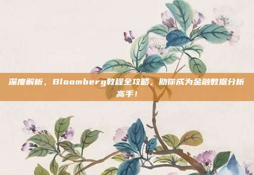 深度解析，Bloomberg教程全攻略，助你成为金融数据分析高手！