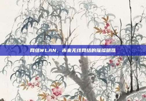 网络WLAN，未来无线网络的璀璨明珠