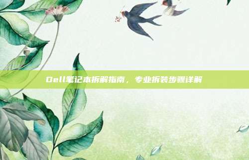 Dell笔记本拆解指南，专业拆装步骤详解