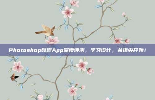 Photoshop教程App深度评测，学习设计，从指尖开始！