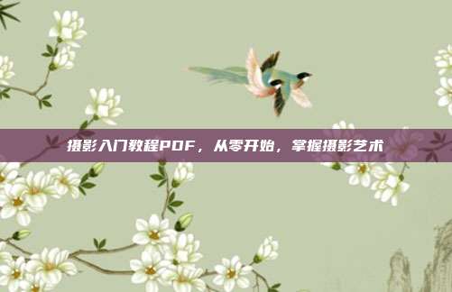 摄影入门教程PDF，从零开始，掌握摄影艺术