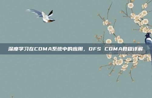 深度学习在CDMA系统中的应用，DFS CDMA教程详解