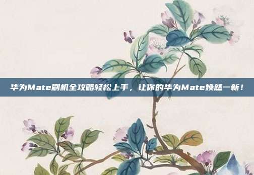 华为Mate刷机全攻略轻松上手，让你的华为Mate焕然一新！