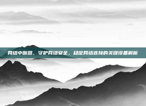 网络中断器，守护网络安全，稳定网络连接的关键设备解析