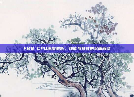 FM2 CPU深度解析，性能与特性的全面解读