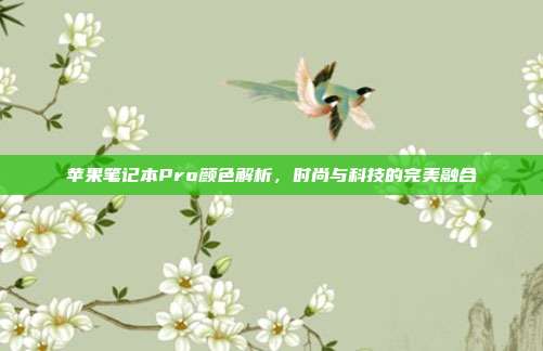 苹果笔记本Pro颜色解析，时尚与科技的完美融合