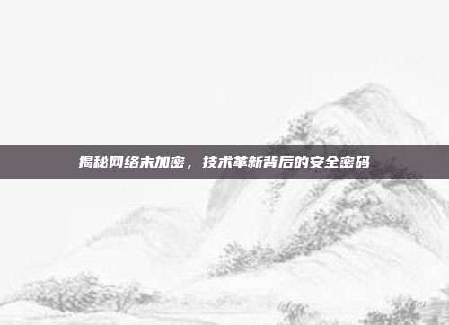 揭秘网络末加密，技术革新背后的安全密码