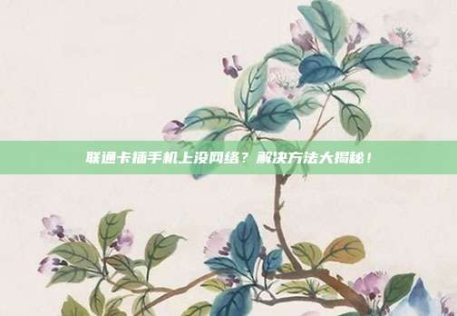 联通卡插手机上没网络？解决方法大揭秘！