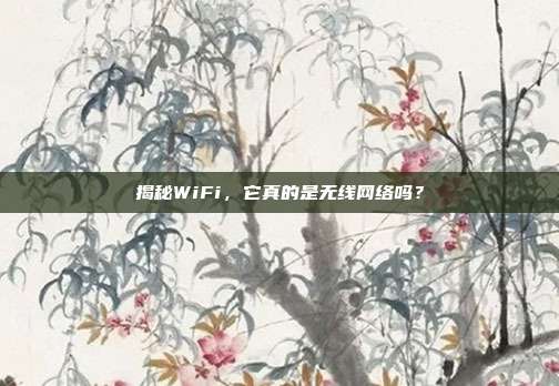 揭秘WiFi，它真的是无线网络吗？